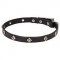 Starlight Narrow Leather Dog Collar for English Bulldog Walking