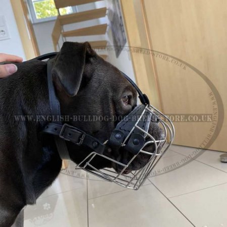 Basket Dog Muzzle of Wire for Bulldogs, Best for Daily Use