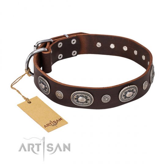 English Bulldog Collar "Extra Pizzazz" FDT Artisan, Brown