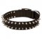 Shining Spiked Strong Nylon Dog Collar for English Bulldogs