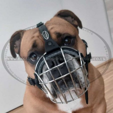 Basket Dog Muzzle of Wire for Bulldogs, Best for Daily Use