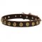 Leather Dog Collar with Round Dotted Studs for English Bulldog