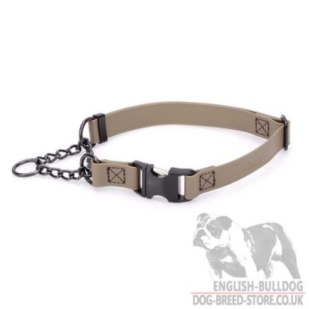 Biothane Martingale Dog Collar for Bulldog Obedience Training
