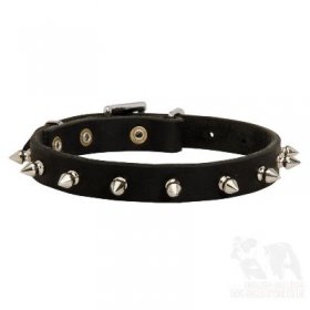 French Bulldog Leather Collar with Spikes for Walking in Style