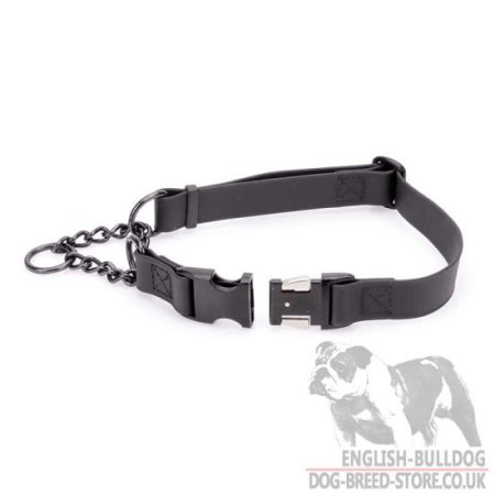 Biothane Martingale Dog Collar for Bulldog Obedience Training