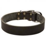Leather Dog Collar for Bulldogs, Classic Design, 2 Inch Wide