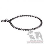 English Bulldog Training Black Stainless Steel Chain Dog Collar