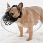 French Bulldog Basket Muzzle for Heat and Frost