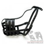 Dog Muzzle for Olde English Bulldog of Natural Leather_3