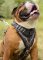 Leather Dog Harness Barbed Wire Painting for English Bulldog