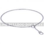 Bestseller! English Bulldog Collar for Dog Shows, Steel Chrome-Plated Chain