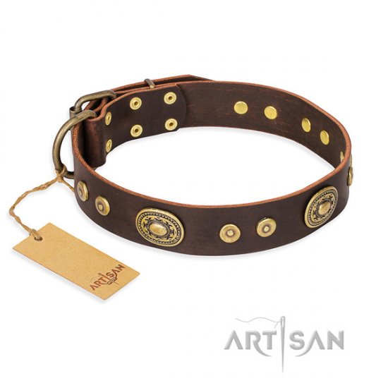 English Bulldog Collar "One-of-a-Kind" FDT Artisan Brown Leather - Click Image to Close