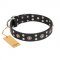 English Bulldog Dog Collar "Refined Essence" FDT Artisan, Black