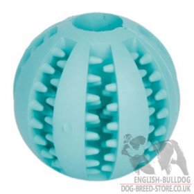 Dental Health Dog Toy Ball for Bulldog Training