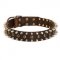 Leather Dog Collar with Silver Spikes and Round Studs