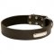 English Bulldog Leather Collar with Identification Name Plate