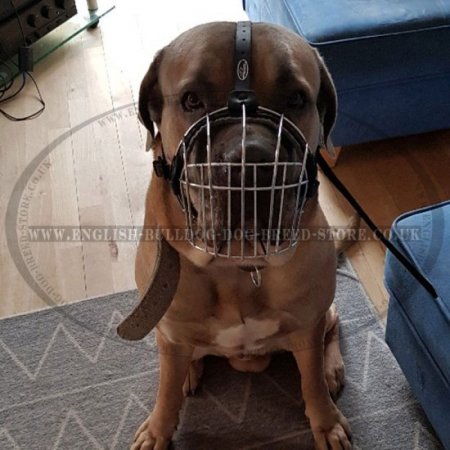 Basket Dog Muzzle of Wire for Bulldogs, Best for Daily Use