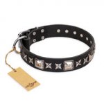 English Bulldog Collar of Black Leather "Space Walk" FDT Artisan