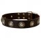 Fashionable Leather Dog Collar with Vintage Conchos for Bulldog
