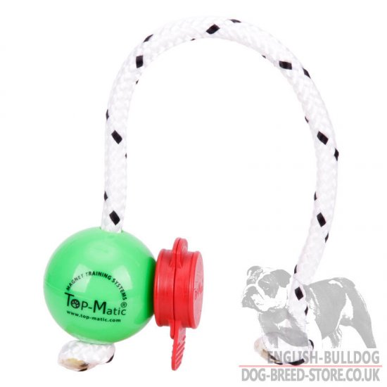 Magnetic Ball for Dog Training