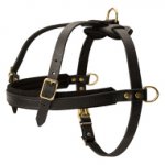 Leather Dog Harness for English Bulldog, Best for Pulling Work