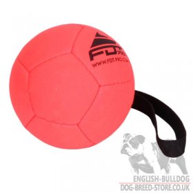 Dog Toy for Bulldog, Orange Ball of Medium Size for Training and Games