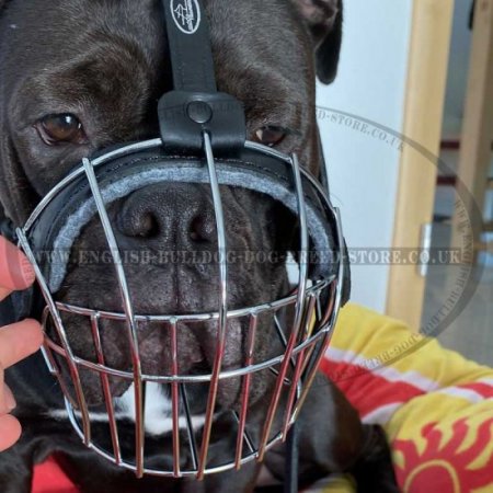 Basket Dog Muzzle of Wire for Bulldogs, Best for Daily Use