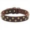 "Golden Pyramids" Attractive Dog Collar for English Bulldog