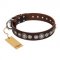 English Bulldog Collar "Step and Sparkle" by FDT Artisan, Brown