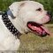 American Bulldog Collar Spiked Design Leather for Daily Outings