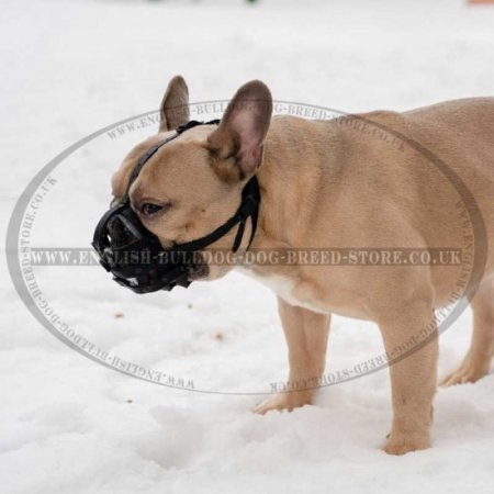 Bestseller! Leather Dog Muzzle Soft Felt Padded for French Bulldog