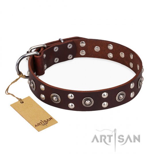 English Bulldog Collar "Pirate Treasure" Brown Leather, Artisan