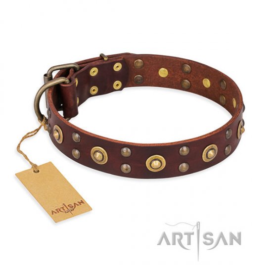 Dog Collar for English Bulldog FDT Artisan "Caprice of Fashion"