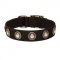 Nylon Dog Collar with Silver-Like Conchos for English Bulldog