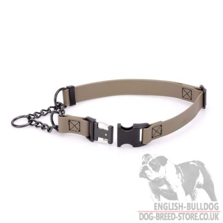 Biothane Martingale Dog Collar for Bulldog Obedience Training