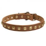 Dog Collar Designer with Square Brass Studs for English Bulldog