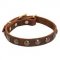 Dog Walking Collar with Brass Studs for Bulldog Puppies