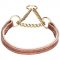 Training Collar for English Bulldog "Golden Charm" Martingale