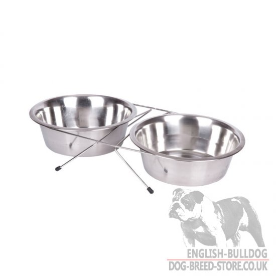 Set of 2 Dog Bowls