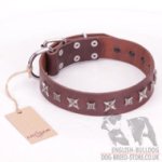 British Bulldog Collar of Brown Leather "Stellar Fairy" FDT Artisan