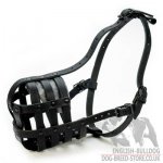 Dog Muzzle for Olde English Bulldog of Natural Leather_1