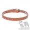English Bulldog Collar with Star-Shaped Studs on Leather