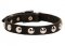 Small Leather Dog Collar for English, French Bulldog Puppy