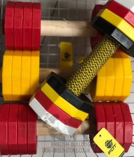 IGP Dumbbell for Bulldog with Yellow Weight Plates