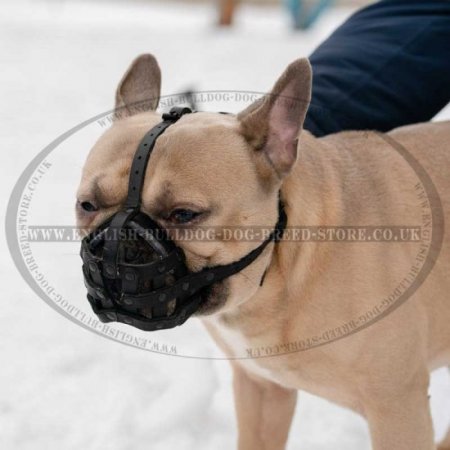 Light Genuine leather for French Bulldog Frenchie & Other similar snouts Black Leather, F1