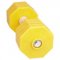 IGP Dumbbell for Bulldog with Yellow Weight Plates