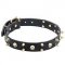 Biker Dog Collar with Brass Spikes & Skulls for English Bulldog