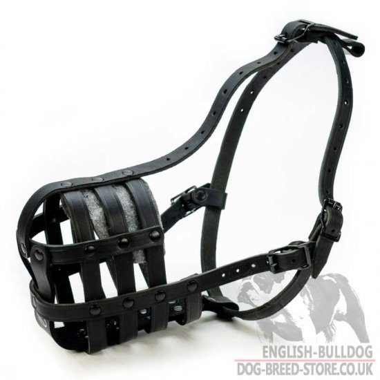 Bestseller! Bulldog Muzzle with Supreme Ventilation of Genuine Leather - Click Image to Close