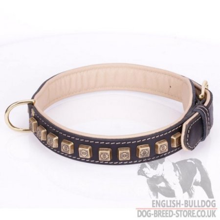 English Bulldog Leather Collar "Cube" with Nappa and Brass Details