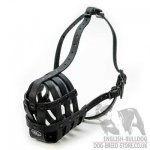 Dog Muzzle for Olde English Bulldog of Natural Leather_2